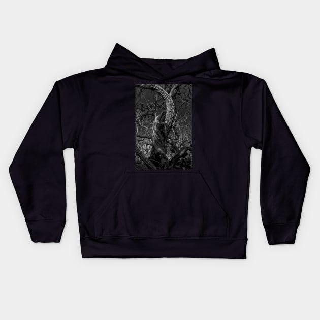 Twisted Tree Trunk Kids Hoodie by Violaman